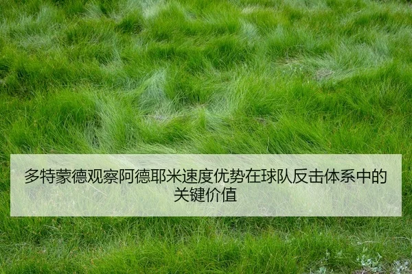 多特蒙德观察阿德耶米速度优势在球队反击体系中的关键价值