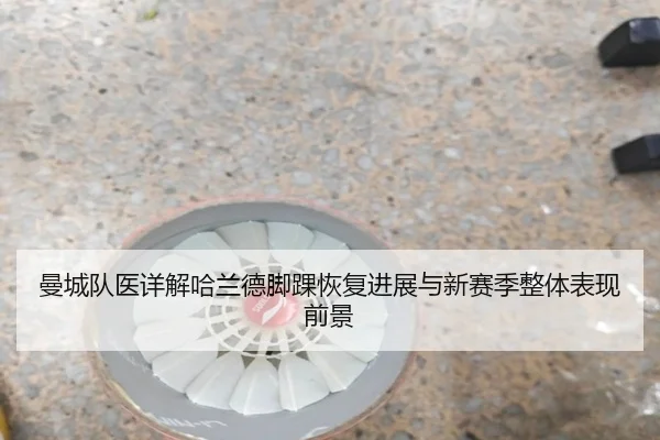 曼城队医详解哈兰德脚踝恢复进展与新赛季整体表现前景